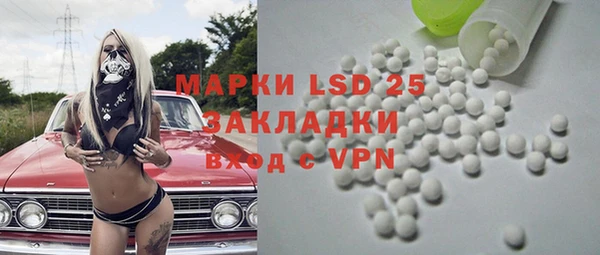 прущие грибы Михайловка