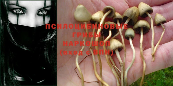 MESCALINE Михайловск