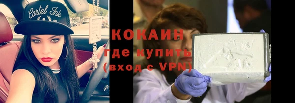 прущие грибы Михайловка