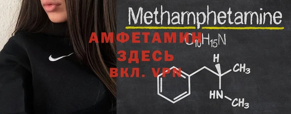 прущие грибы Михайловка