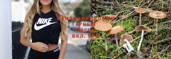 MESCALINE Михайловск