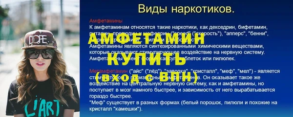 прущие грибы Михайловка