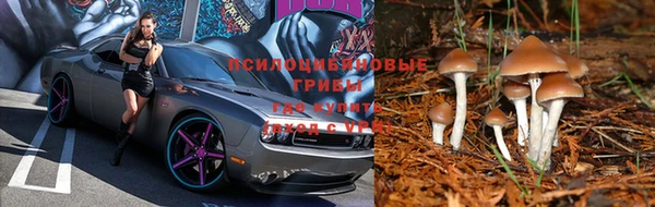 метадон Михайлов