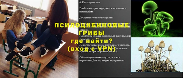 метадон Михайлов