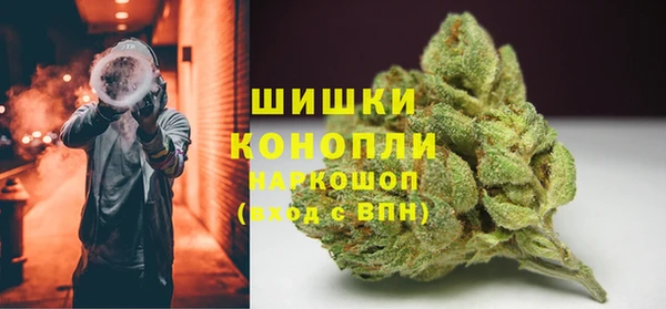 прущие грибы Михайловка